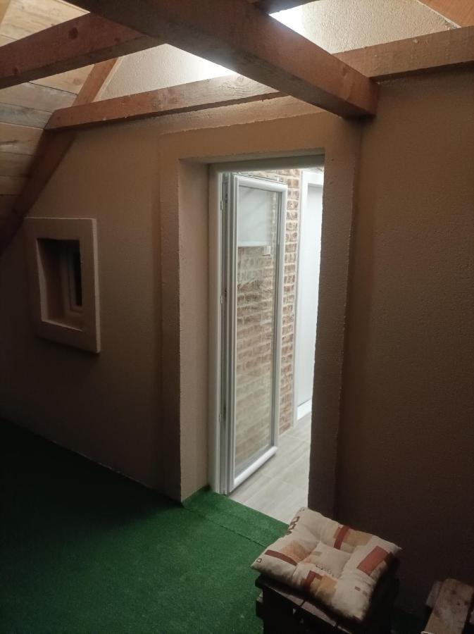 Apartmani Marija Zemun Zemun Polje Esterno foto