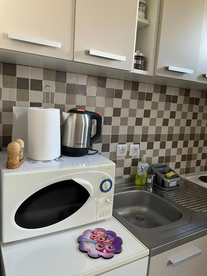Apartmani Marija Zemun Zemun Polje Esterno foto