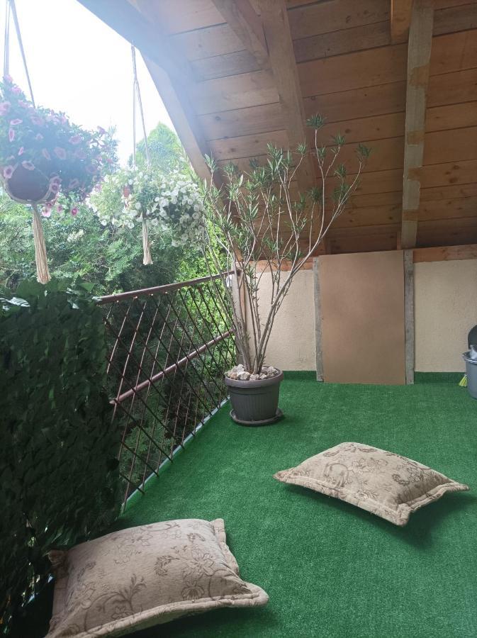 Apartmani Marija Zemun Zemun Polje Esterno foto
