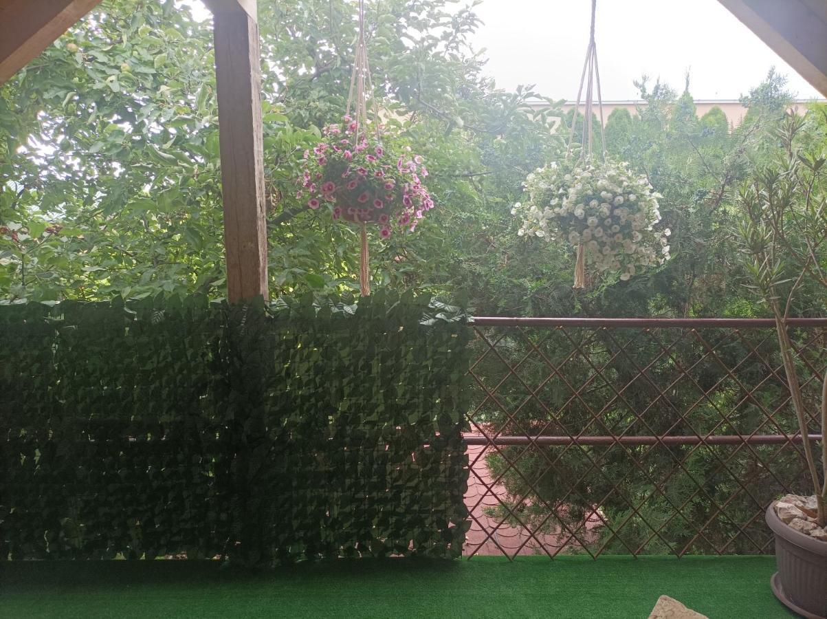 Apartmani Marija Zemun Zemun Polje Esterno foto